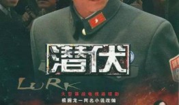 潜伏电视剧全集在线观看,揭秘谍战风云，揭秘潜伏者传奇人生