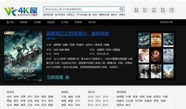 在线观看成人电影网站,揭秘成人电影网站的隐秘世界