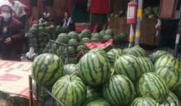 泉州网红吃瓜群众群,吃瓜群众群里的欢乐时光