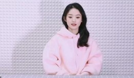 娱乐大爆料赵丽颖团队,幕后故事与辉煌成就