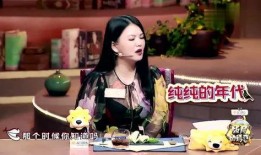 何炅爆料李湘视频,揭秘明星夫妻背后的故事