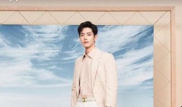 有关肖战八卦爆料最新,揭秘娱乐圈最新八卦爆料