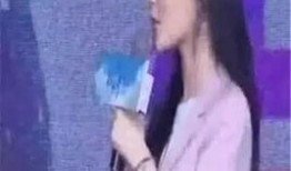 欧弟爆料李小璐视频,真相与争议