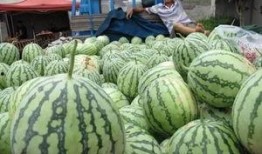 泉州网红吃瓜群众群,吃瓜群众群里的欢乐时光