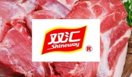 肉脯团4在线观看,在线观看，解锁美食冒险之旅