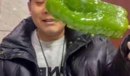 网红乐仔吃瓜视频,揭秘网红圈幕后故事