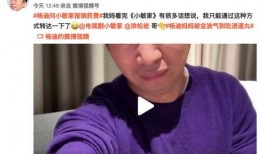 有博主爆料杨迪吗视频播放,博主爆料背后真相