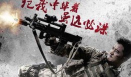 在线观看战狼二,燃情热血，捍卫家国情怀的视觉盛宴