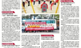 江南晚报最新爆料新闻视频,最新爆料新闻视频背后的惊人真相