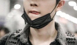 官方爆料肖战事件视频,官方爆料揭示真相全貌