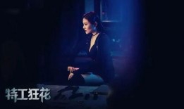 在线观看特工狂花,花式特工，智斗风云