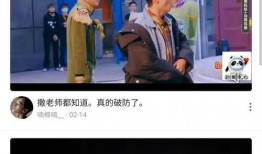 机智重庆爆料视频大全集,揭秘城市魅力，畅游视频大全集