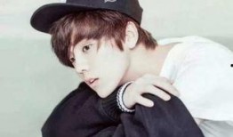 网友爆料王源视频大全,网友爆料精彩瞬间回顾