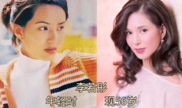 娱乐圈明星爆料册子,揭秘明星背后的秘密与真相