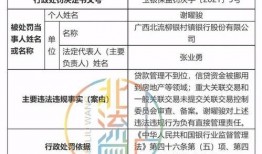 玉林建行最新爆料信息网,揭秘金融动态与业务创新亮点