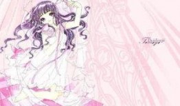 小樱最新爆料视频大全集,揭秘幕后真相与精彩瞬间