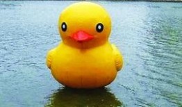 大黄鸭香港爆料视频播放,揭秘背后惊人真相