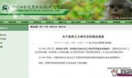 二狗爆料谢航视频大全最新,谢航视频大全背后的惊人真相