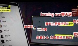 记录员爆料视频大全集最新,揭秘幕后真相，带你走进事件核心