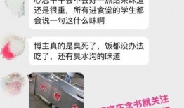 石家庄假食爆料视频最新,揭露后厨黑幕，食品安全再引关注