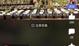 视频结尾爆料怎么做出来,揭秘幕后制作过程