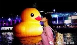 大黄鸭香港爆料视频播放,揭秘背后惊人真相