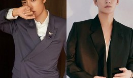 官方爆料肖战事件视频,官方爆料揭示真相全貌