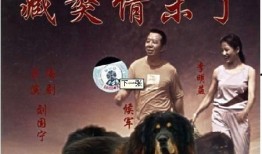 藏獒情未了在线观看,忠诚与爱的传奇故事