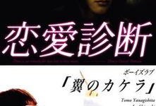 恋爱诊断在线观看