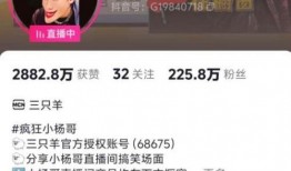 龙湖职场爆料视频播放大全,揭秘职场真相与幕后故事