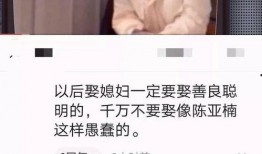 陈亚楠爆料捐款事件视频,揭秘幕后真相与公益力量