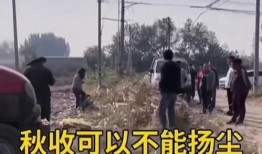 农村爆料视频大全,揭秘乡村生活百态