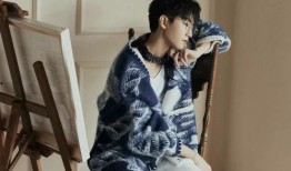 娱乐大爆料赵丽颖团队,幕后故事与辉煌成就