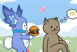 胖猫最初爆料视频,揭秘爆料视频背后的真相与内幕