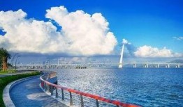 大洋湾最新爆料,最新爆料背后的惊人真相