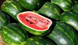 免费吃瓜 最新,揭秘网络热点的幕后故事