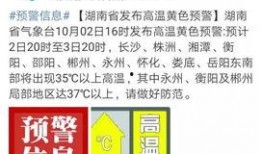 衡阳今日爆料最新消息,揭秘今日重大事件真相