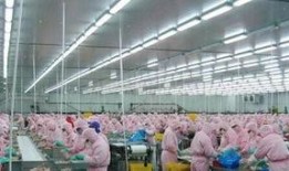 圣农工厂工人爆料视频大全,揭秘工厂内部真实情况