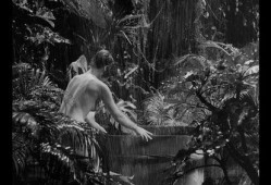 安纳塔汉在线观看,安纳塔汉岛生存挑战纪实