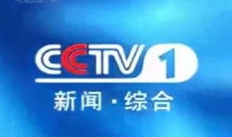 武宁电视台新闻爆料,重大新闻事件背后真相揭晓