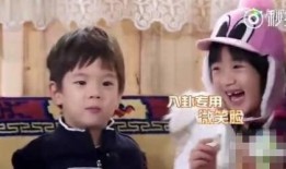 娱乐小葱花明星吃瓜,娱乐圈幕后真相曝光