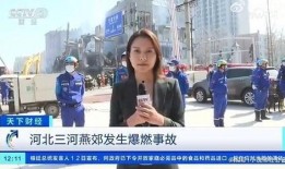 德国记者爆料视频播放大全,视频播放大全背后的惊人真相