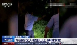 明星爆料导演的新闻事件,明星爆料揭露影视圈幕后真相