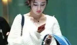 狗仔爆料蒋依依视频,狗仔爆料背后的真相