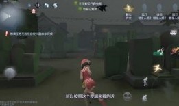 舞女最新金皮爆料,揭秘娱乐圈幕后风云