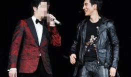 娱乐圈吃瓜王力宏是谁啊,力宏的娱乐八卦影响力