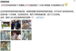 卓伟爆料马天宇郑爽视频,娱乐圈再掀风波