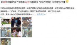 卓伟爆料马天宇郑爽视频,娱乐圈再掀风波