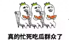 侍从的吃瓜修养免费观看,免费畅享宫廷秘闻