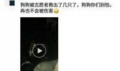 徐州直播爆料事件视频最新,真相与争议再掀波澜